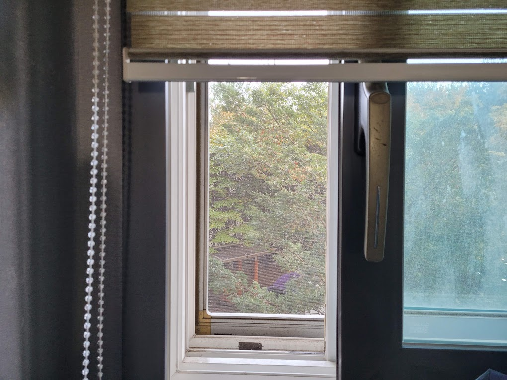 환기를 위해 열어 놓은 창문