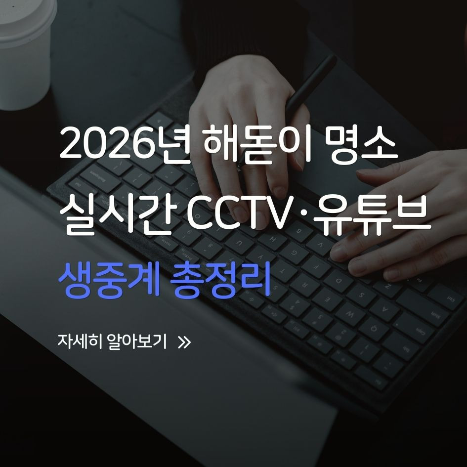 집에서 보는 새해 해돋이 CCTV 생중계