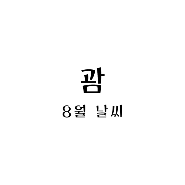 괌8월날씨