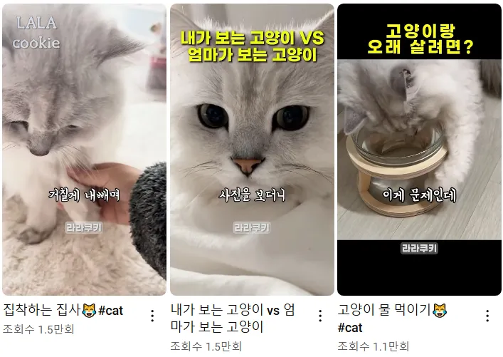 운영하는-유튜브-채널-영상-조회수