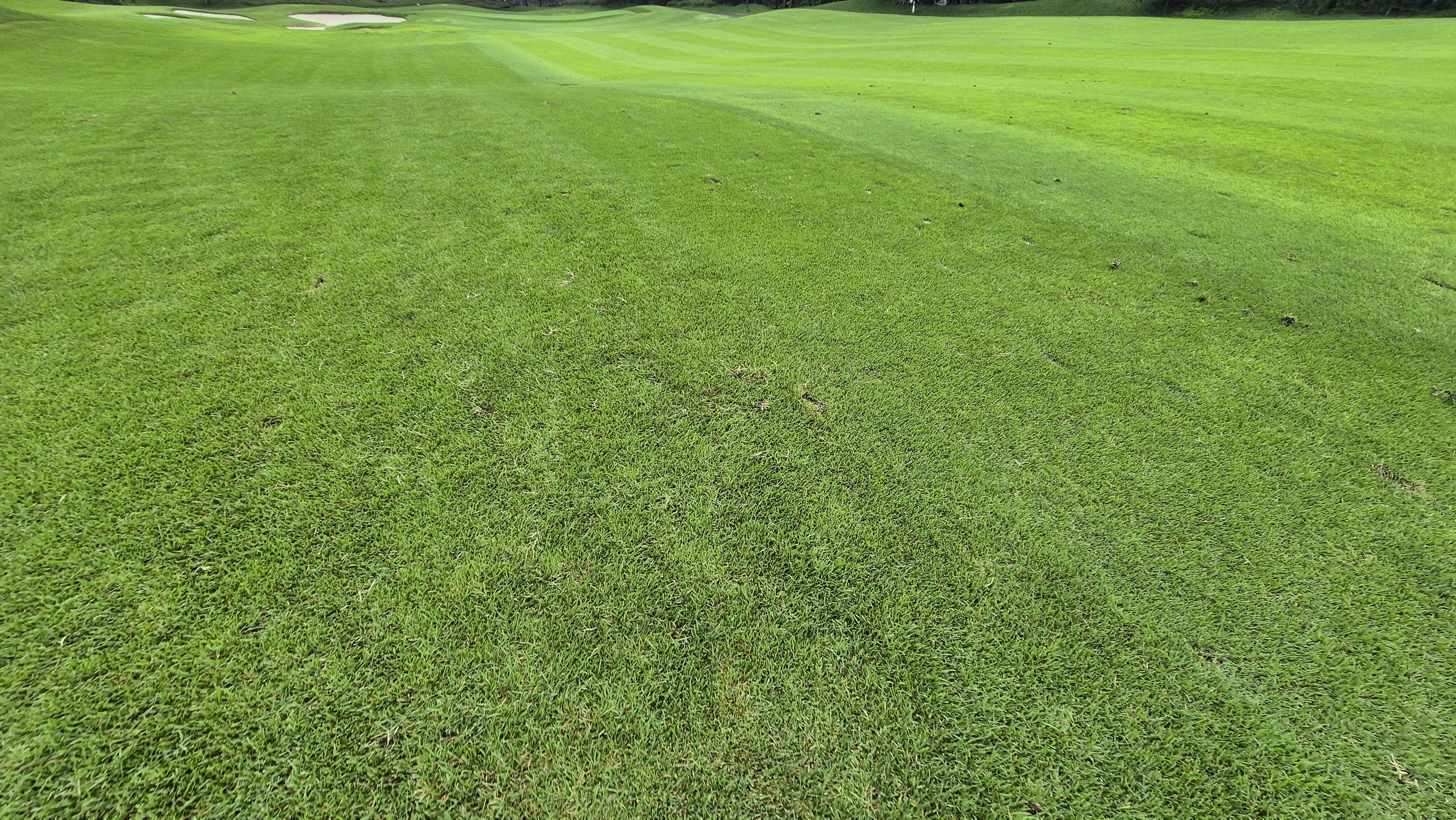 파인스톤cc 코스 난이도