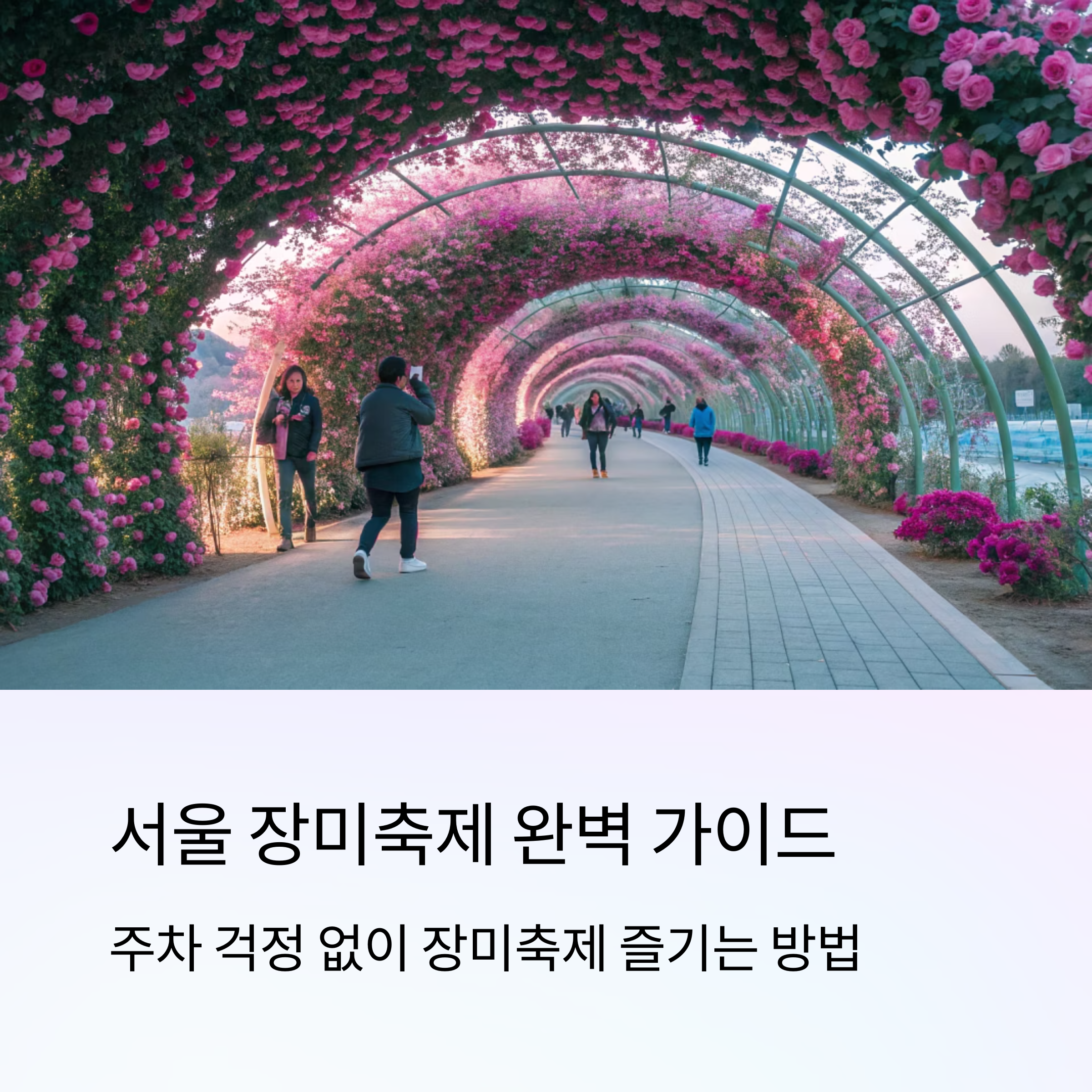 서울장미축제 가이드