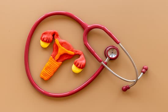 자궁근종의 원인, 증상, 진단 및 치료법 – 완벽 가이드