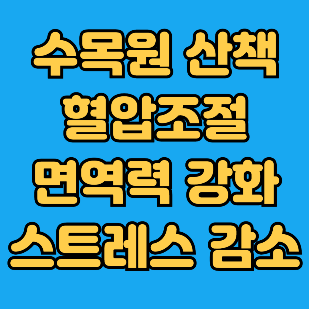 수목원산책 혈압조절 면역력강화 스트레스 감소