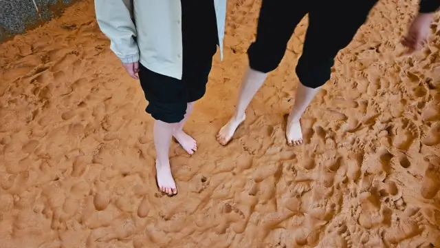 울산대공원 메타세콰이어길 맨발걷기