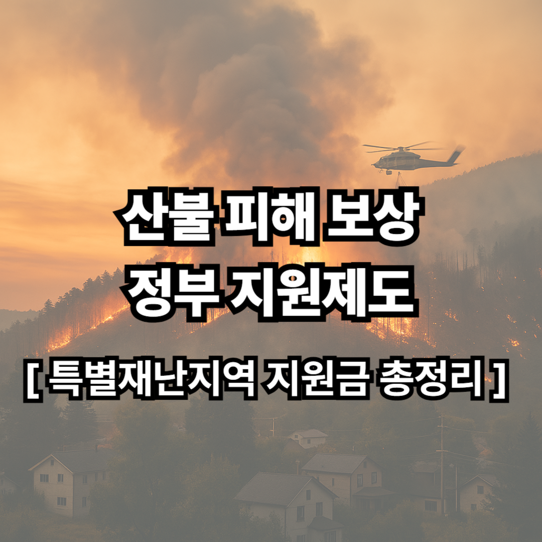 산불 피해 주민들을 위한 정부 지원제도 총정리
