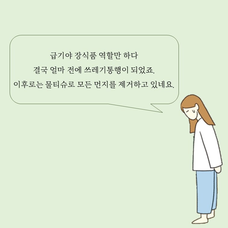 홍조 민정원 1인1묘살림일지