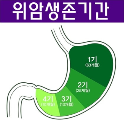 위암 3기 생존율