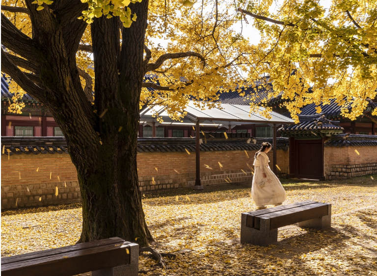 황금기의 서막: 1960–70년대의 전성기