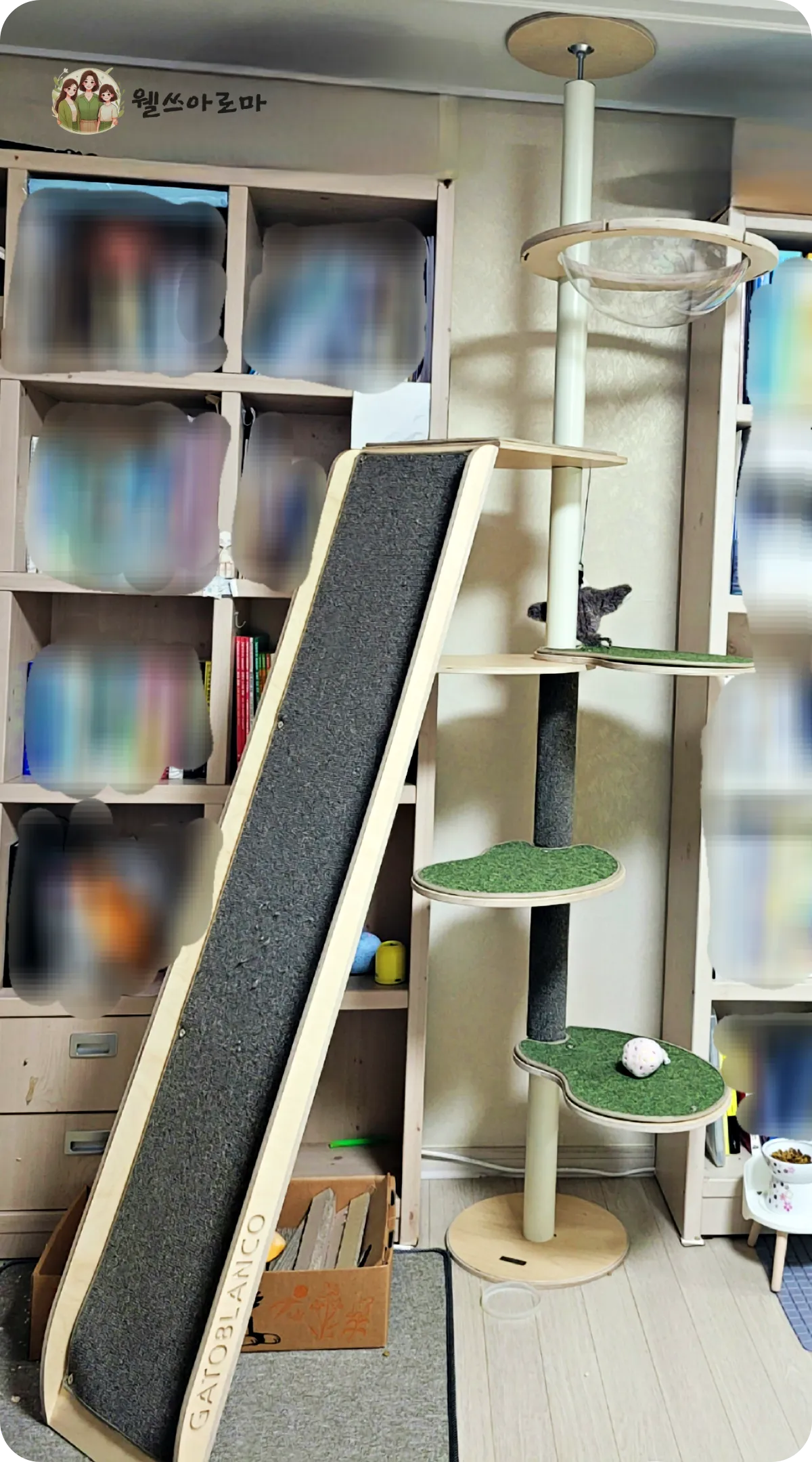 우리집-가또블랑코-수직캣타워-설치사진-클라이밍보드