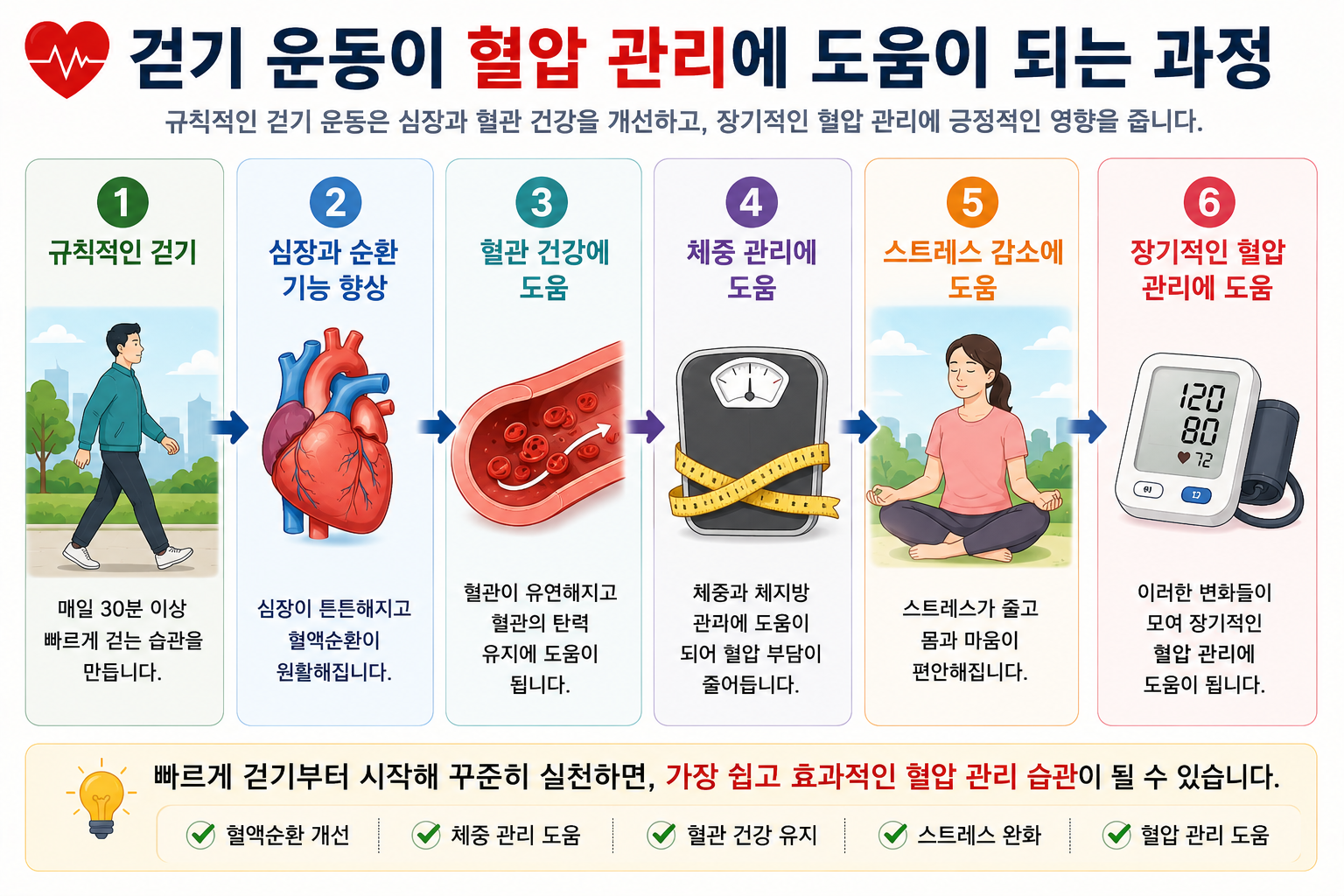 규칙적인 걷기가 장기 혈압 관리에 관련되는 요소를 설명한 그림