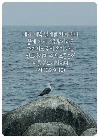시편 91장 11절 읽기 - 그가 너를 위하여 그의 천사들을 명령하사_7