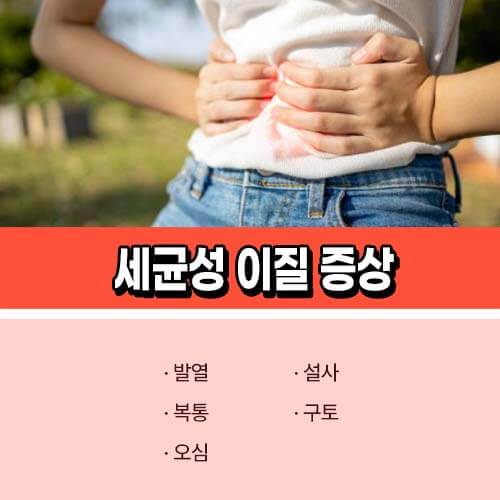 세균성_이질_증상