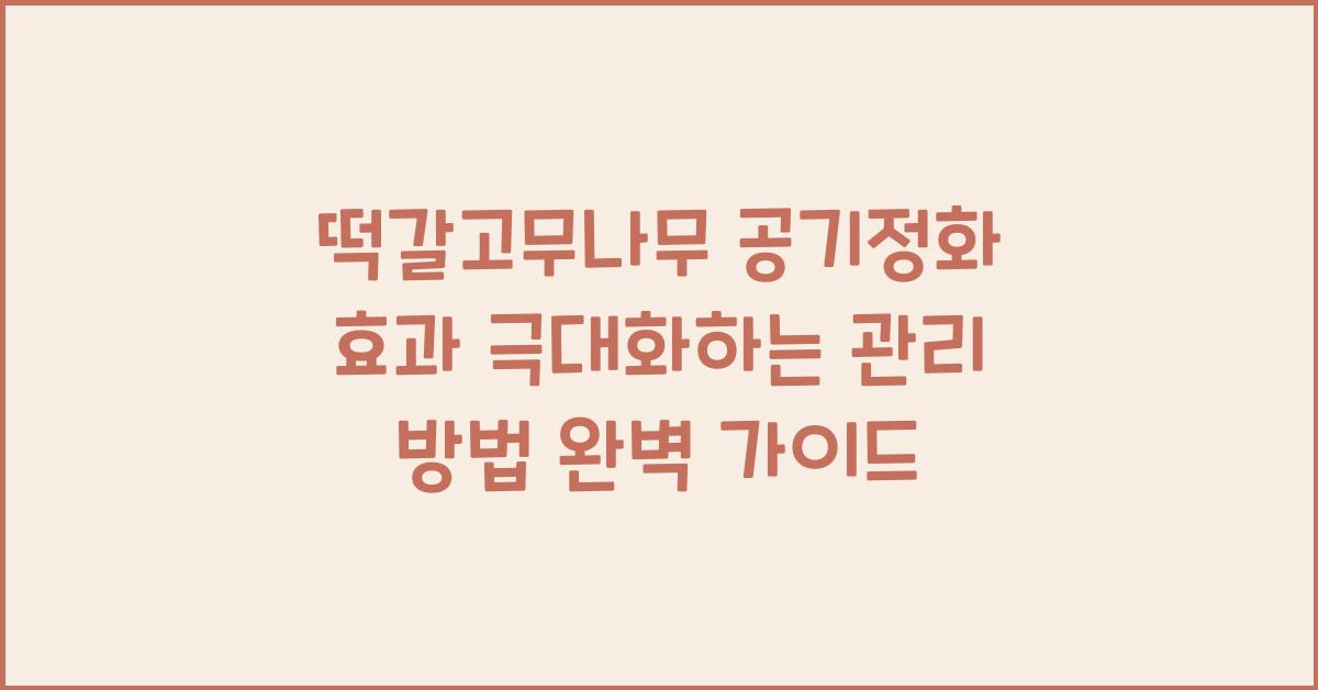 떡갈고무나무 공기정화 효과 극대화하는 관리 방법