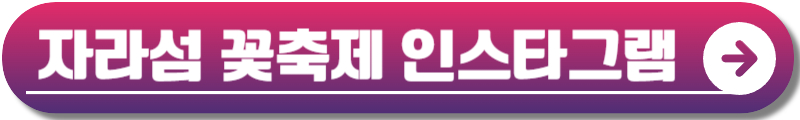 자라섬 꽃축제