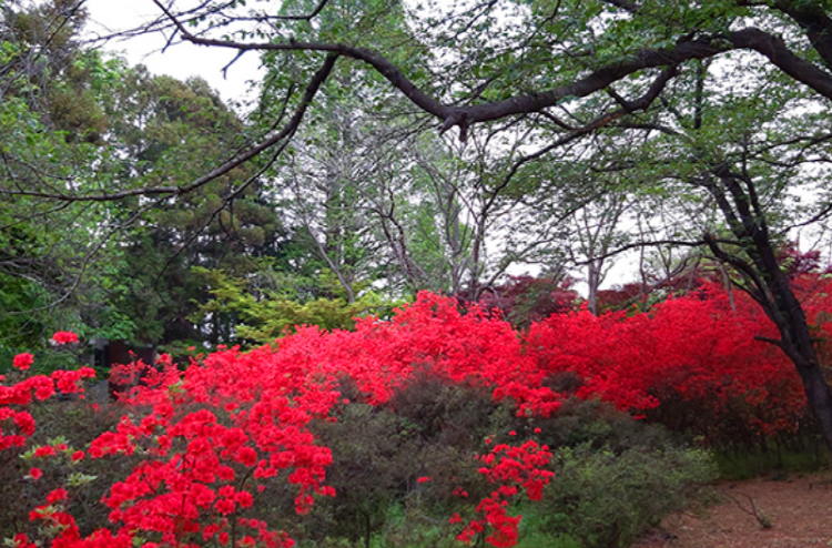 익산 아가페정원