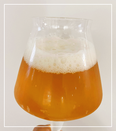 멕시코 맥주 추천 모델로(Modelo)