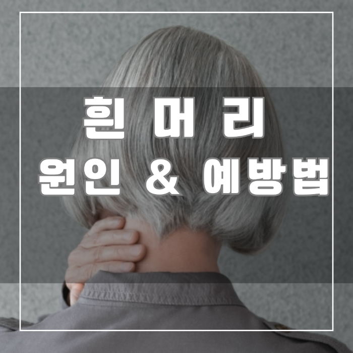 흰머리 원인 및 예방법