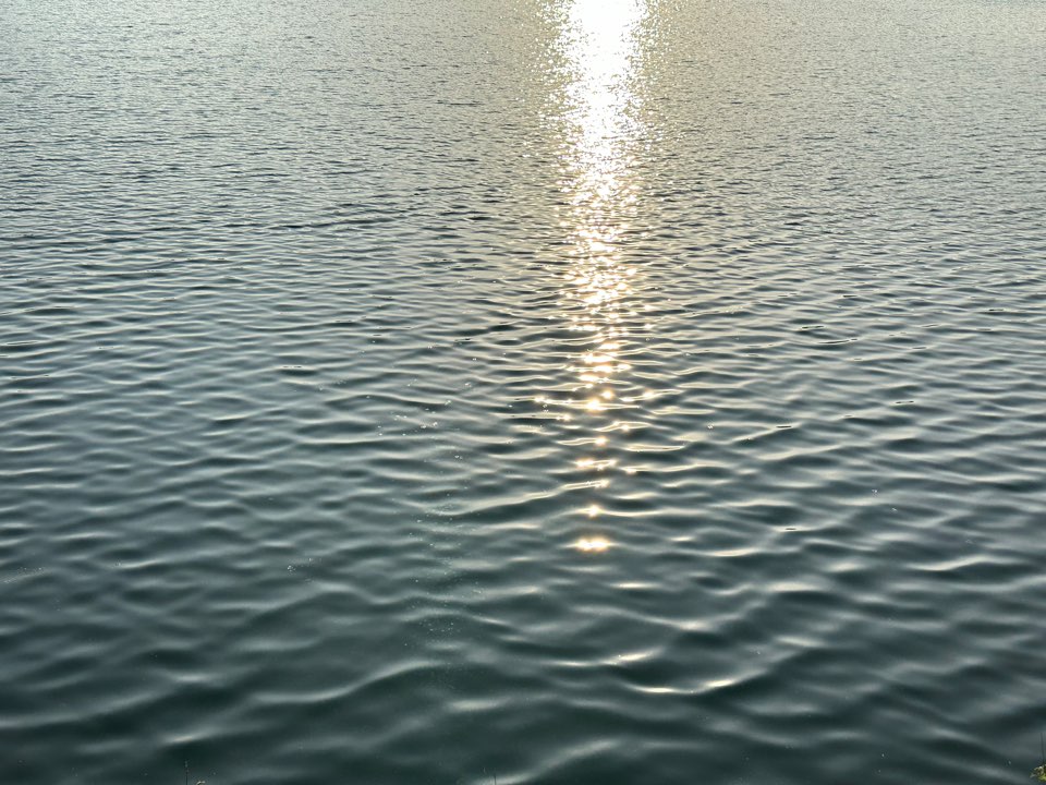 트랜스미디어-스토리텔링