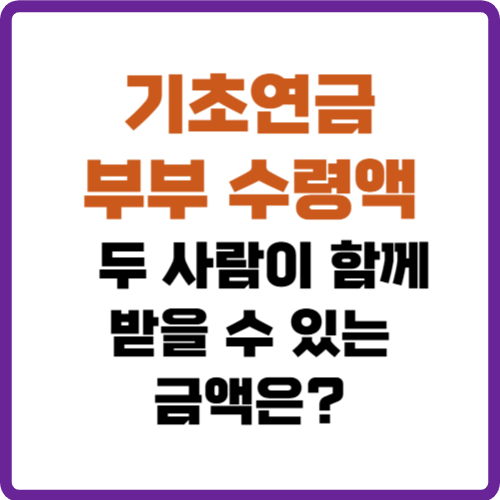 기초연금 부부 수령액