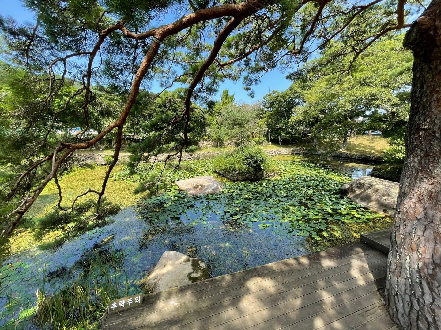 윤선도원림 세연정