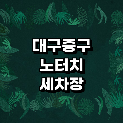 대구 중구 노터치 세차