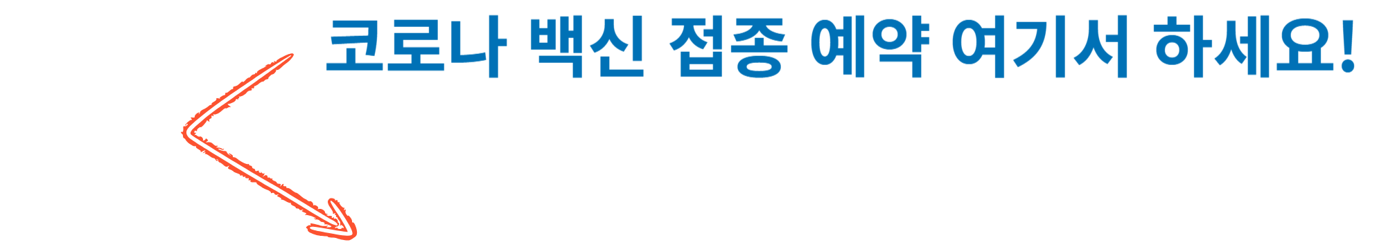 코로나 예방접종 사진