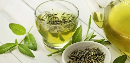 노화 방지 효과가 있는 녹차의 효능, 카페인 부작용