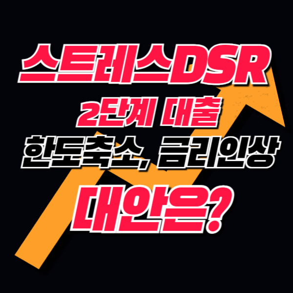 스트레스DSR