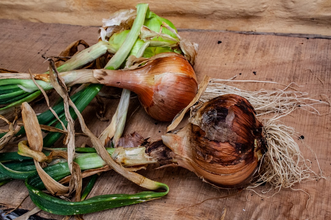 Onion