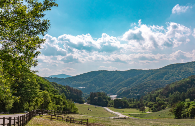 대관령 하늘목장