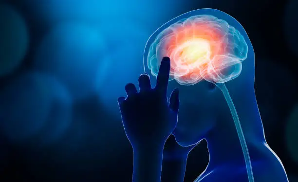 사람의 뇌 투영사진
뇌와 예술, 뇌활동과 창조성의 상호작용