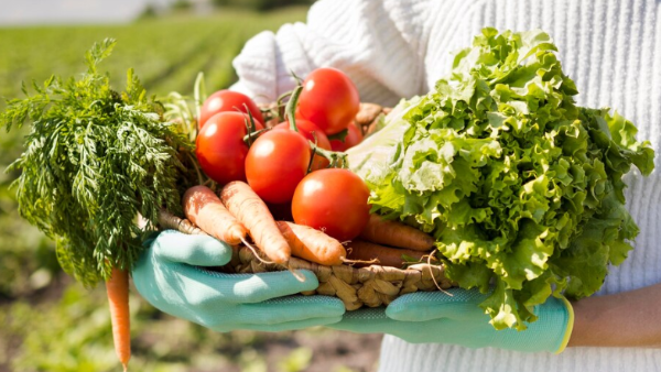 공익직불금 신청