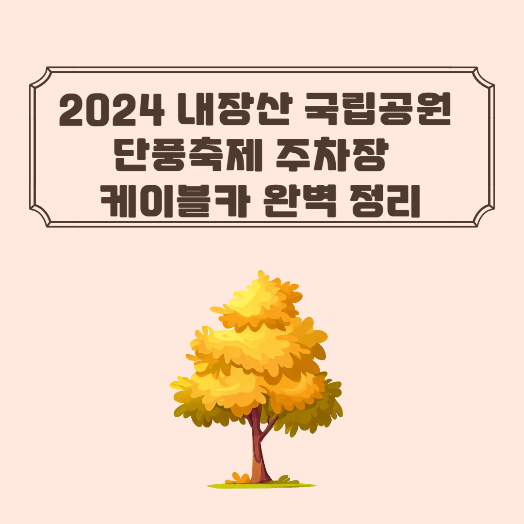2024 내장산 국립공원 단풍축제 주차장 및 케이블카 완벽 정리