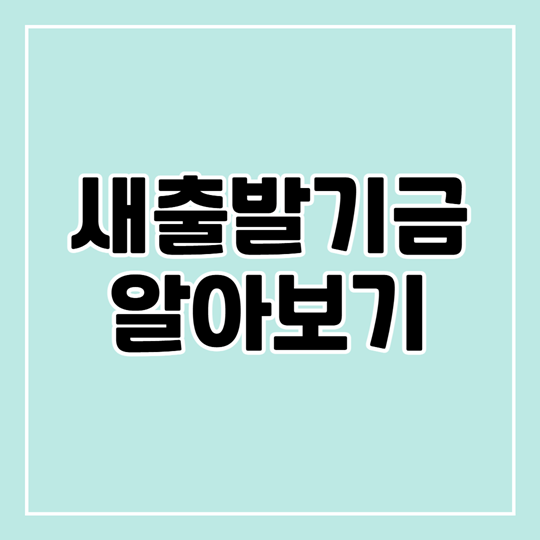 새출발기금 신청하고 채무조정 혜택 받으세요! 부실차주 설명과 지원 내용 정리