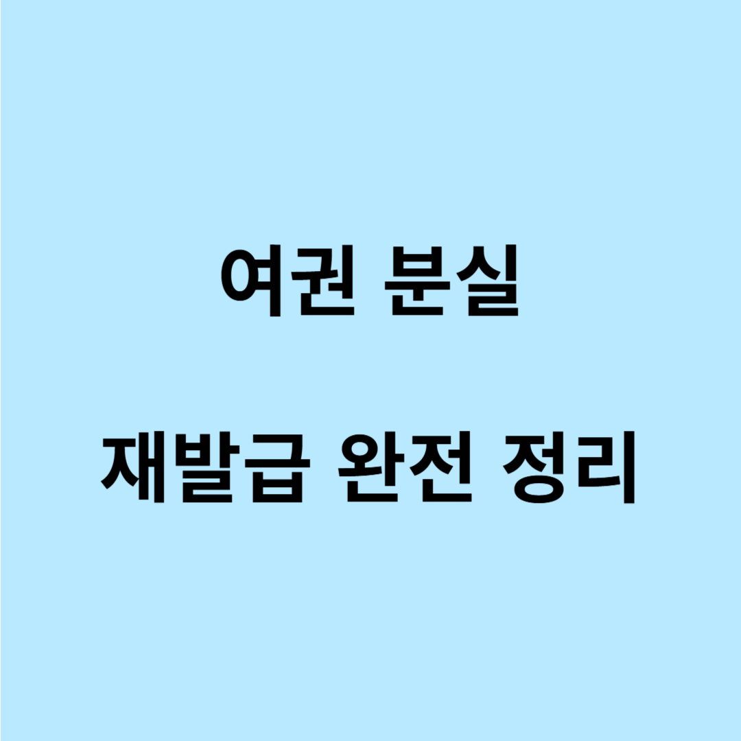 여권 분실 시 재발급