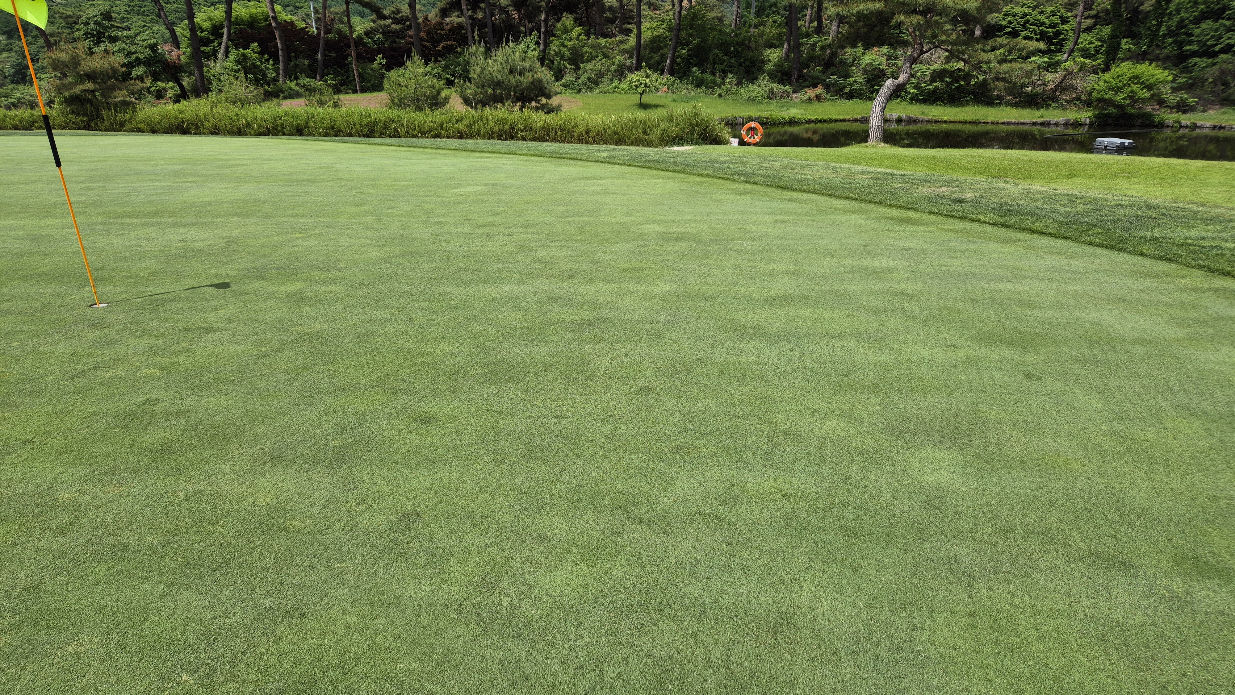 파크밸리gc 라운드 후기