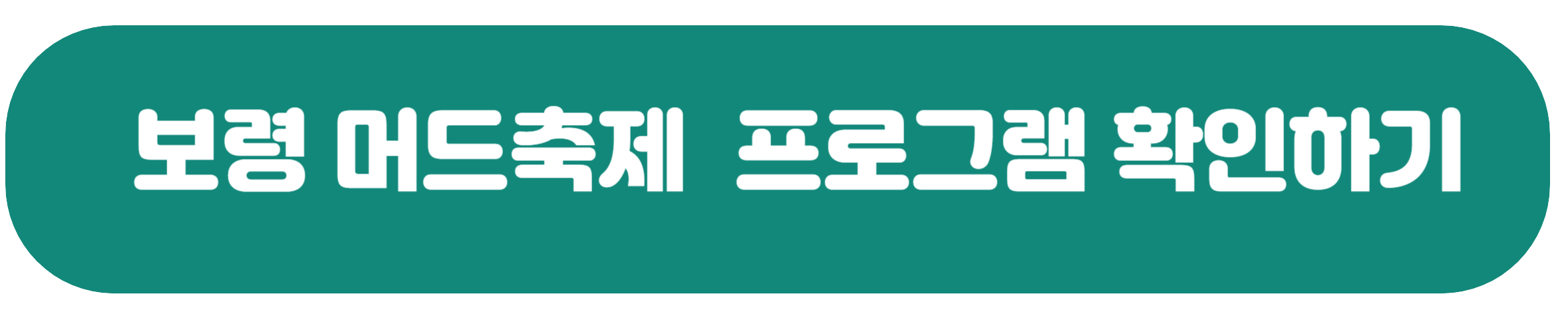 보령머드축제 프로그램 확인하기