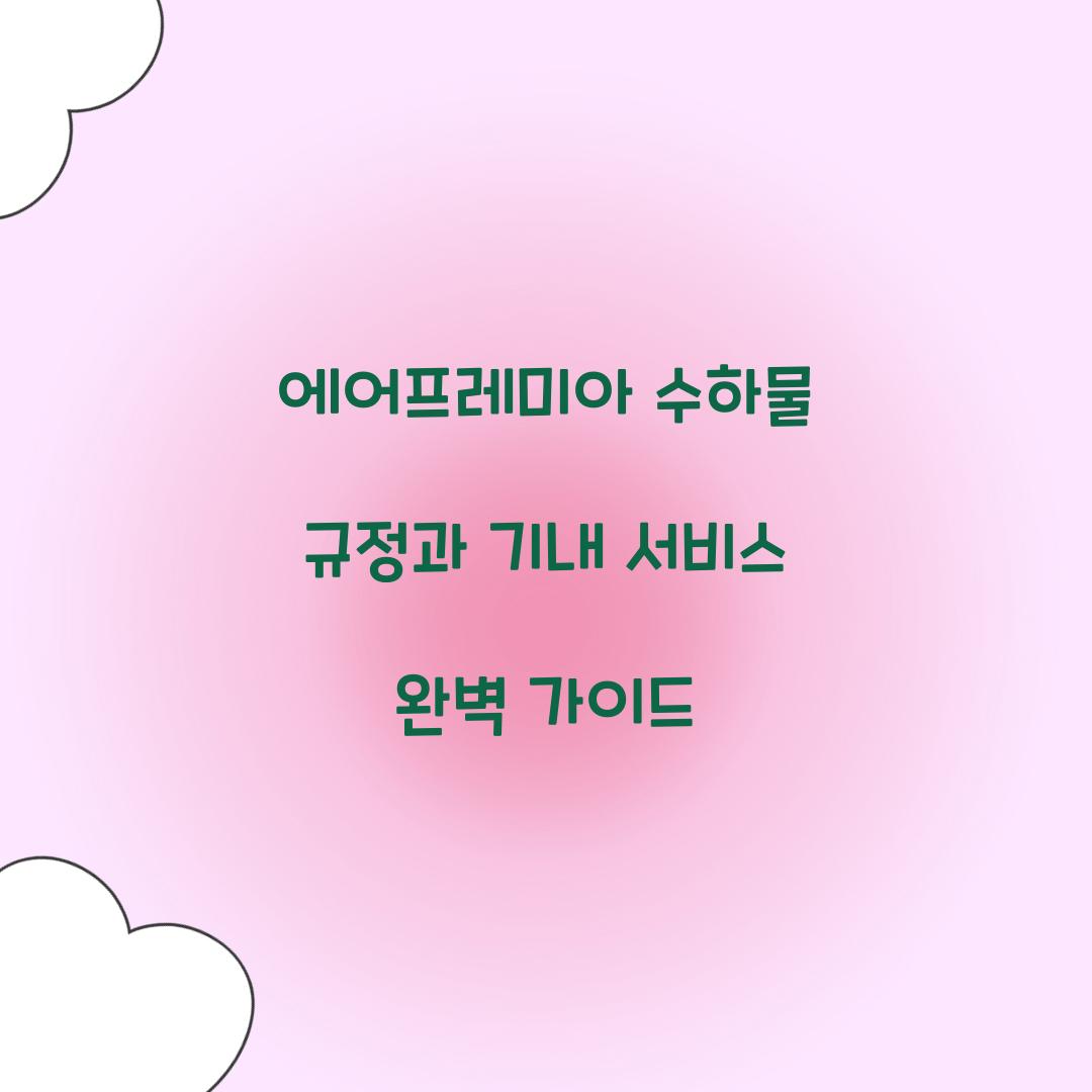 에어프레미아 수하물