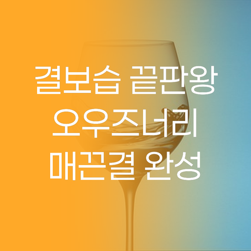 결 보습 끝판왕 오우즈너리 젯 블루 