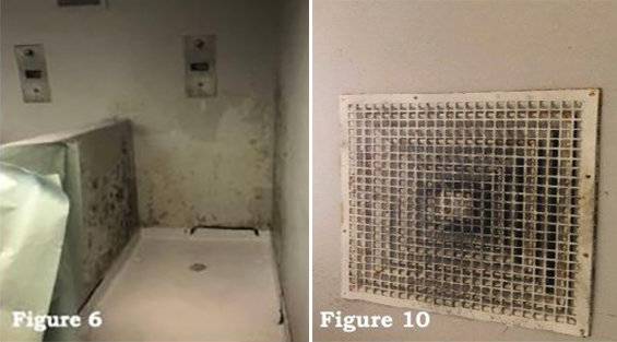 한국인 300명 구금된 美 폭스턴 수용소…감옥보다 열악한 현실