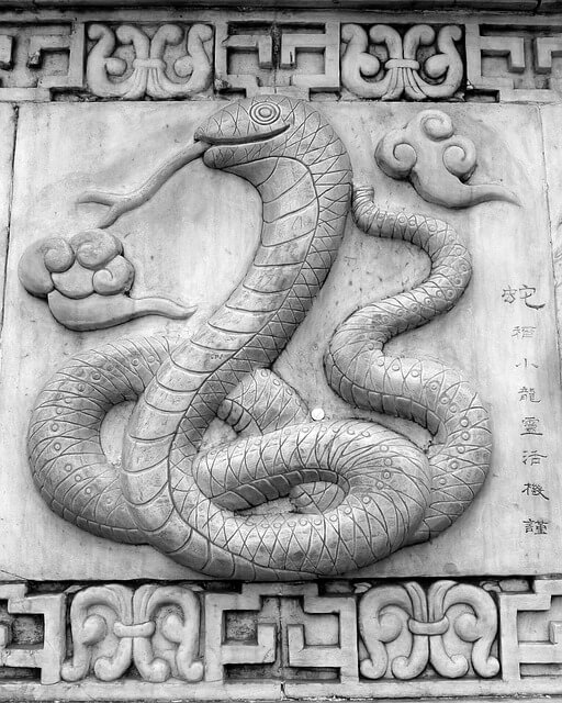 뱀띠생의 성격-뱀띠를 알아보자-&amp;#39;느낌&amp;#44;촉&amp;#44;간지&amp;#39; 