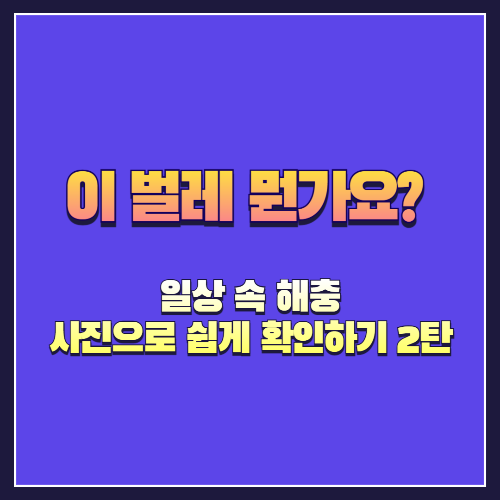 이 벌레 뭔가요? 일상 속 해충 사진으로 쉽게 확인하기 2탄