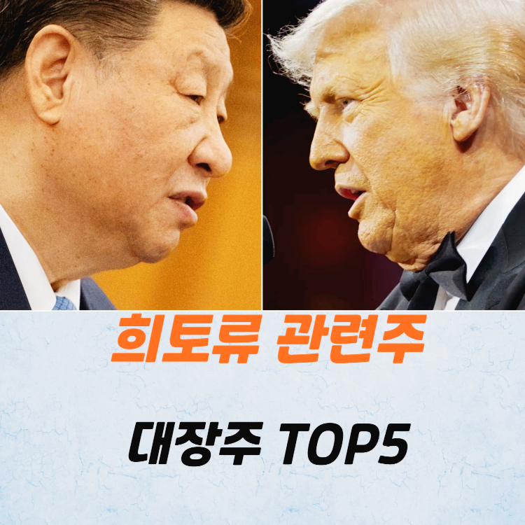 희토류 관련주 대장주 TOP5 : 중국 수출 중단