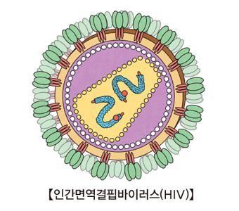 hiv 바이러스 감염 초기증상