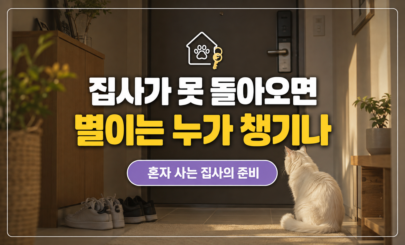 현관 앞에서 집사를 기다리는 흰 고양이