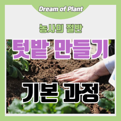 텃밭 만들기 썸네일 이미지