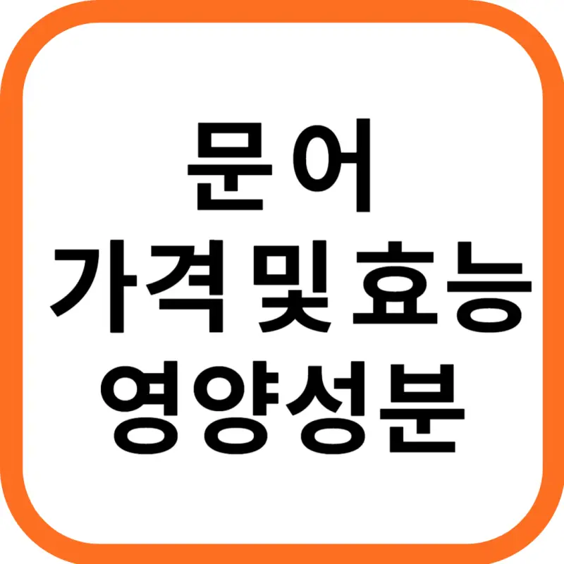 문어 가격 및 효능&#44; 영양성분