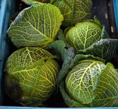 농식품 바우처 신청 자격, 방법, 지원금