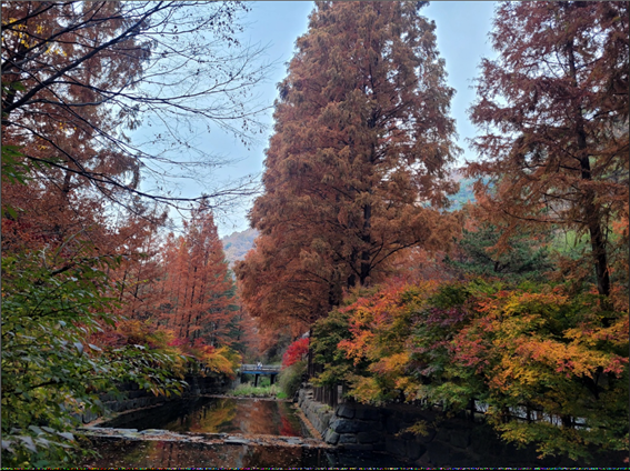 장태산 가을 단풍